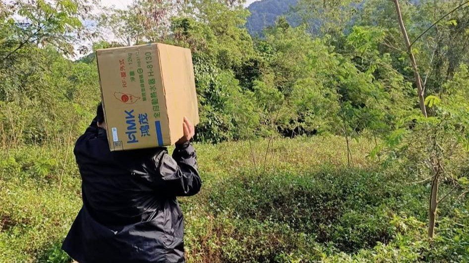 首頁 271669054 1013932179159166 8508239216414524218 n 複製