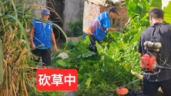 螢幕擷取畫面 2026 01 24 151821